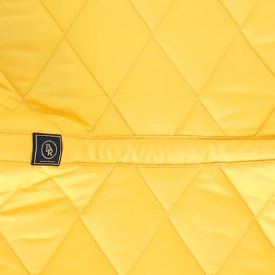 BR Zadeldekje Event Cooldry Dressuur Freesia - Afbeelding 6