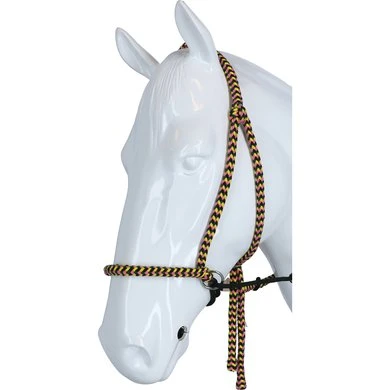 F.R.A. Bitloos Hoofdstel Igor Vaste Teugel Katoen Groen/Roze - Afbeelding 2