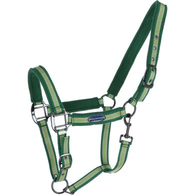 Weatherbeeta Halster Coordinate Donkergroen/Tan/Lichtgroen Pony