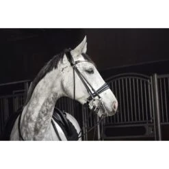 Catago Stang En Trens Hoofdstel Rolled Zwart Full