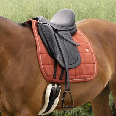 EQUITHÈME Zadeldekje Suède Dressuur Roest Full - Afbeelding 3