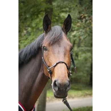 PÉNÉLOPE Pénélope Touwhalster Havana/Zwart Full - Afbeelding 2