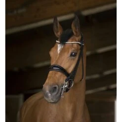 Norton Stang En Trenshoofdstel Zwart