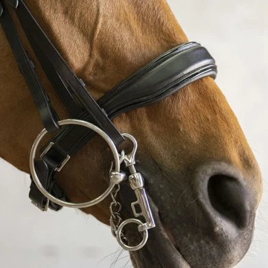 Norton Stang En Trenshoofdstel Diadème Zwart - Afbeelding 3