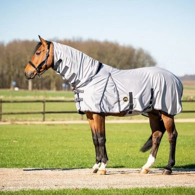 HB Vliegendekens Met Halsstuk Grijs