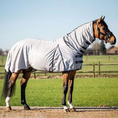 HB Vliegendekens Met Halsstuk Grijs - Afbeelding 2