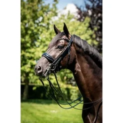 HB Stang- En Trenshoofdstel Special For You Zwart