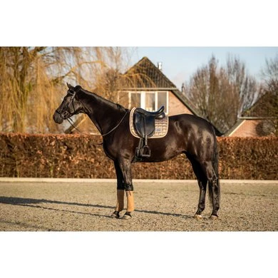 HB Zadeldekje Showtime Lake View Dressuur Tabacco