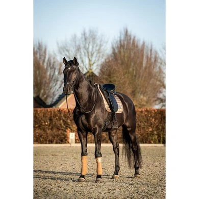 HB Zadeldekje Showtime Lake View Dressuur Tabacco - Afbeelding 2