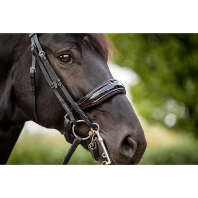 HB Showtime Stang En Trenshoofdstel Special For You Zwart/Burgundy - Afbeelding 2