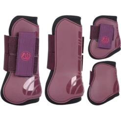 Harrys Horse Beenbeschermerset WI23 Fig
