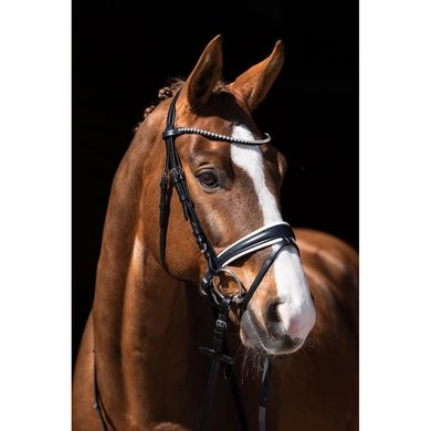 HKM Hoofdstel Flora Zwart - Afbeelding 2