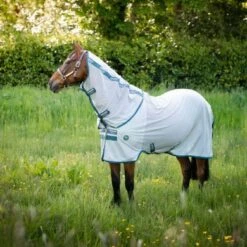 Amigo Eco Bug Rug Silver/Teal