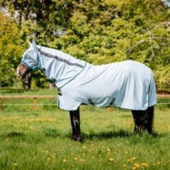 Amigo Bug Rug Azure Blue/Zwart