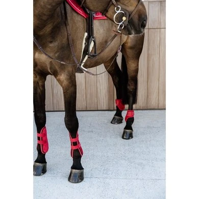 Kentucky Horsewear Kentucky Peesbeschermers Bamboo Elastic Velvet Rood - Afbeelding 8