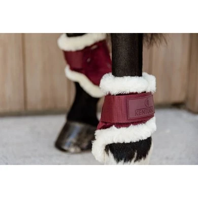 Kentucky Horsewear Kentucky Kogelbeschermer Young Horse Velvet Vegan Bont Bordeaux - Afbeelding 5