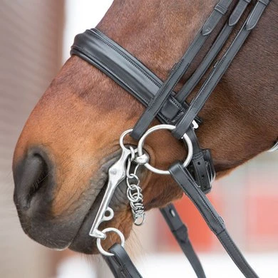 Kieffer Stang- En Trenshoofdstel Ultrasoft Zwart/Zilveren Beads - Afbeelding 2