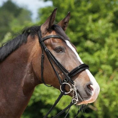 Kieffer Stang- En Trenshoofdstel Paris Grey Crystals Zwart