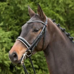 Kieffer Stang- En Trenshoofdstel Paris White Crystals Zwart/Wit