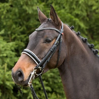 Kieffer Stang- En Trenshoofdstel Paris White Crystals Zwart/Wit