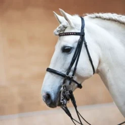 Kieffer Stang- En Trenshoofdstel Anja Beran Exclusive Jonquil Bicolor Zwart/Chrome