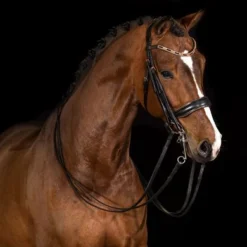 Mrs. Ros Stang & Trenshoofdstel Galaxy Rose