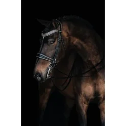 Mrs. Ros Stang- En Trenshoofdstel Johnny Deluxe Zwart/Zilver Full