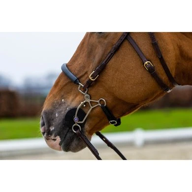 Trust Hoofdstel Hickstead Bruin/Zilver - Afbeelding 4